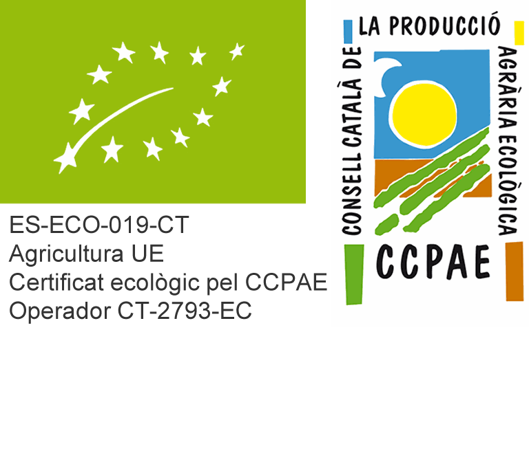 Text d'Odoo i bloc d'imatge