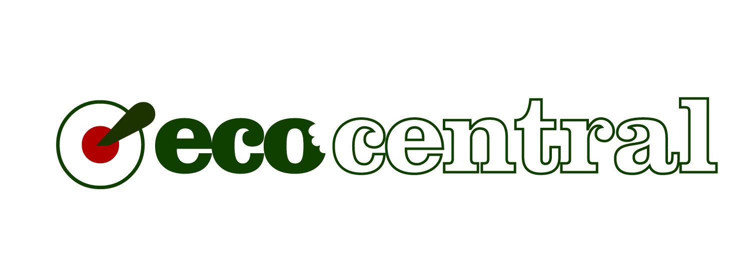 Imatge d'Odoo i bloc de text