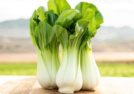 Pak Choi