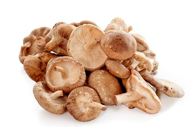 Shitake